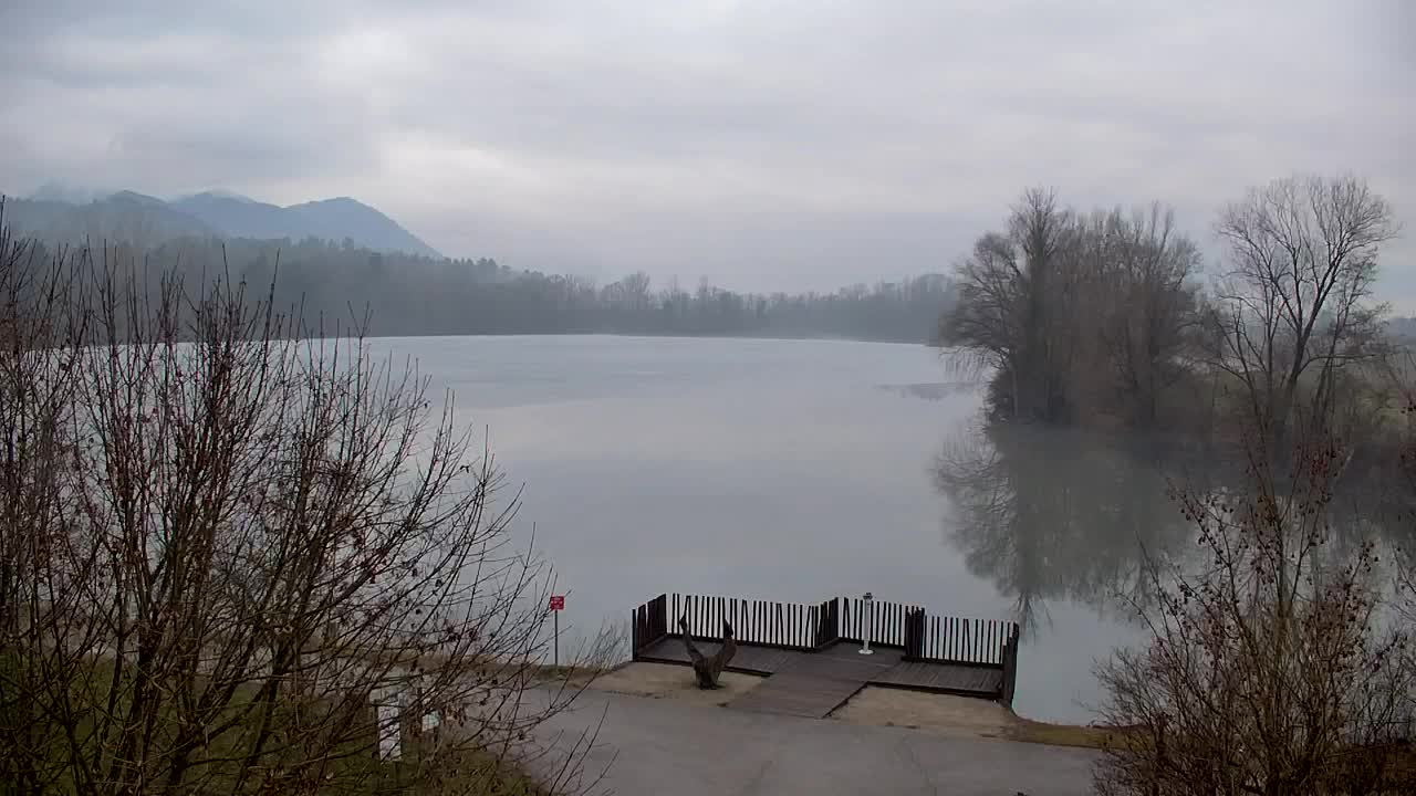 Webcam Ribnik Vrbje – Žalec