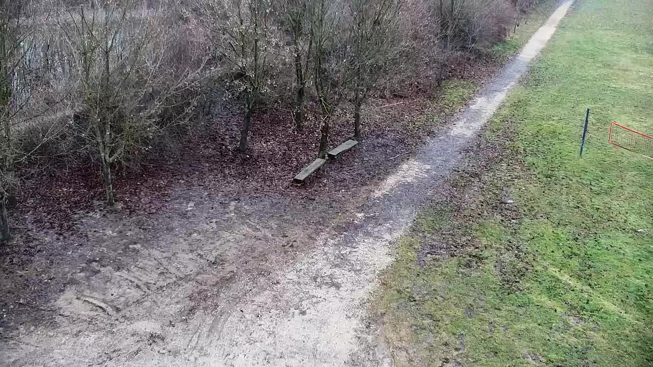 Web kamera Ribnik Vrbje – Žalec