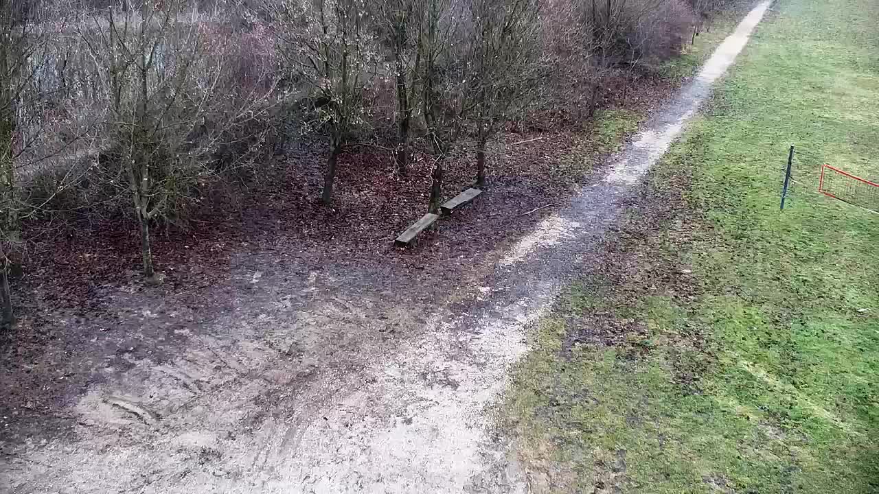 Webcam Ribnik Vrbje – Žalec