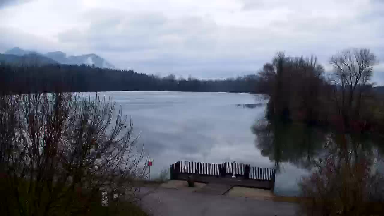 Webcam Ribnik Vrbje – Žalec