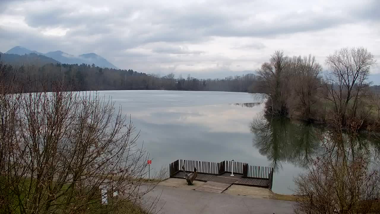 Webcam Ribnik Vrbje – Žalec