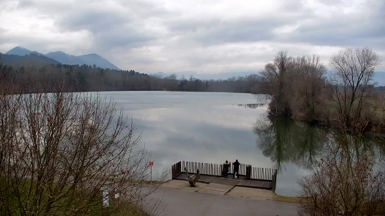 Webcam Ribnik Vrbje – Žalec