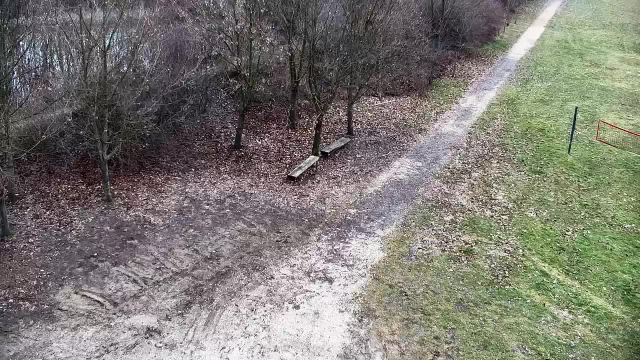 Webcam Ribnik Vrbje – Žalec