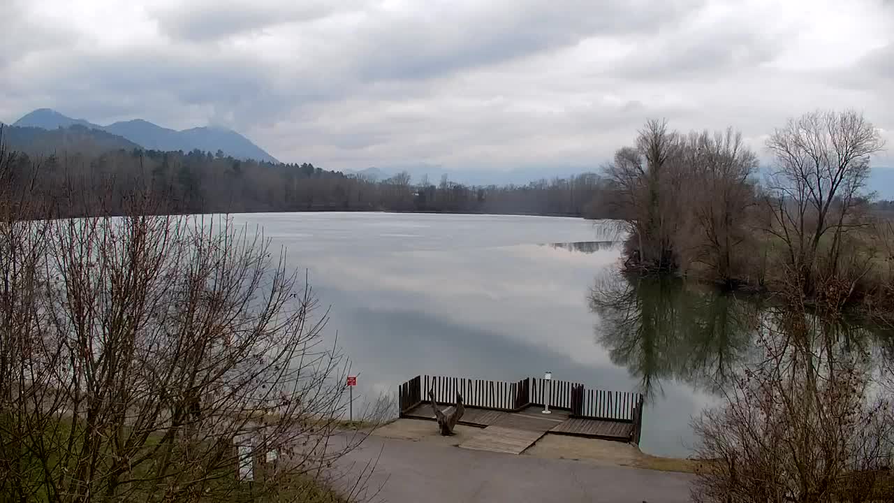 Webcam Ribnik Vrbje – Žalec