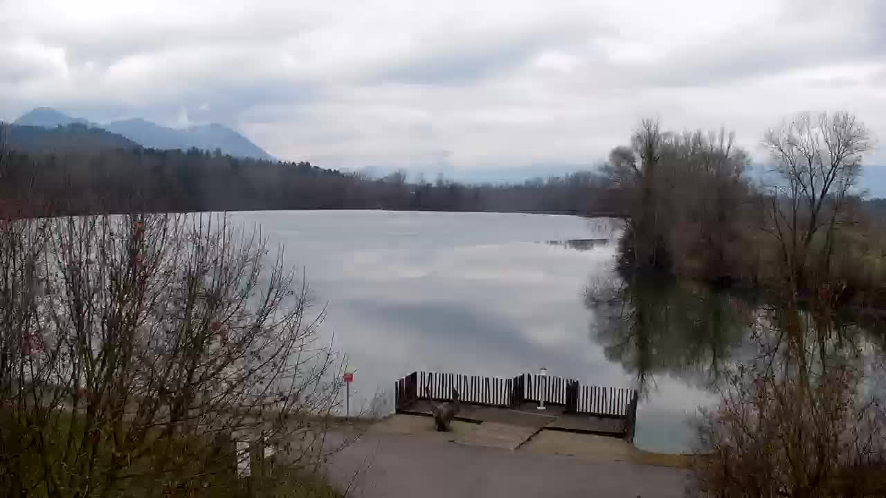 Webcam Ribnik Vrbje – Žalec