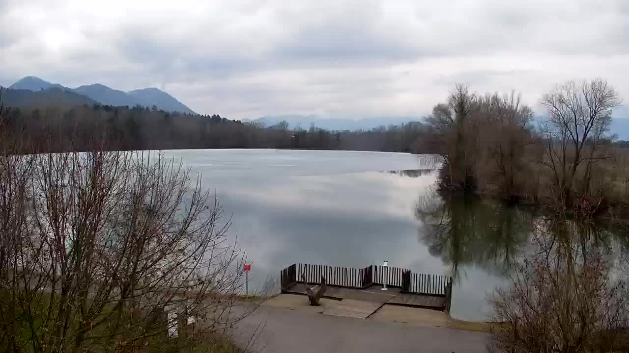 Webcam Ribnik Vrbje – Žalec