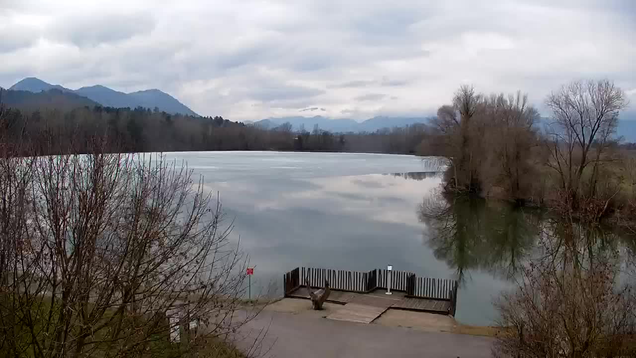 Webcam Ribnik Vrbje – Žalec