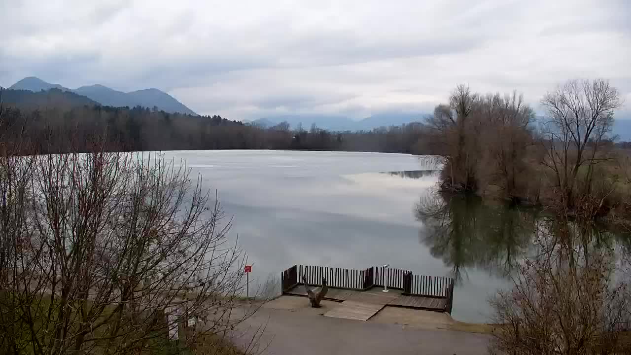 Webcam Ribnik Vrbje – Žalec