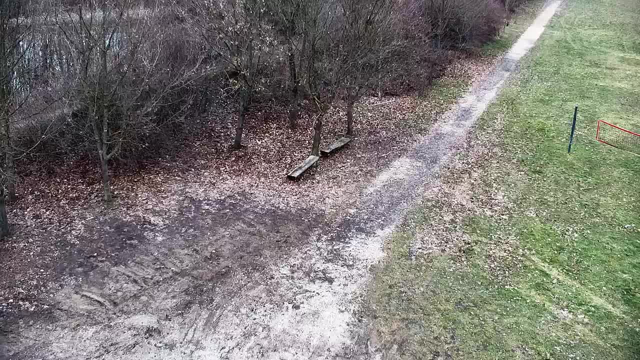 Webcam Ribnik Vrbje – Žalec