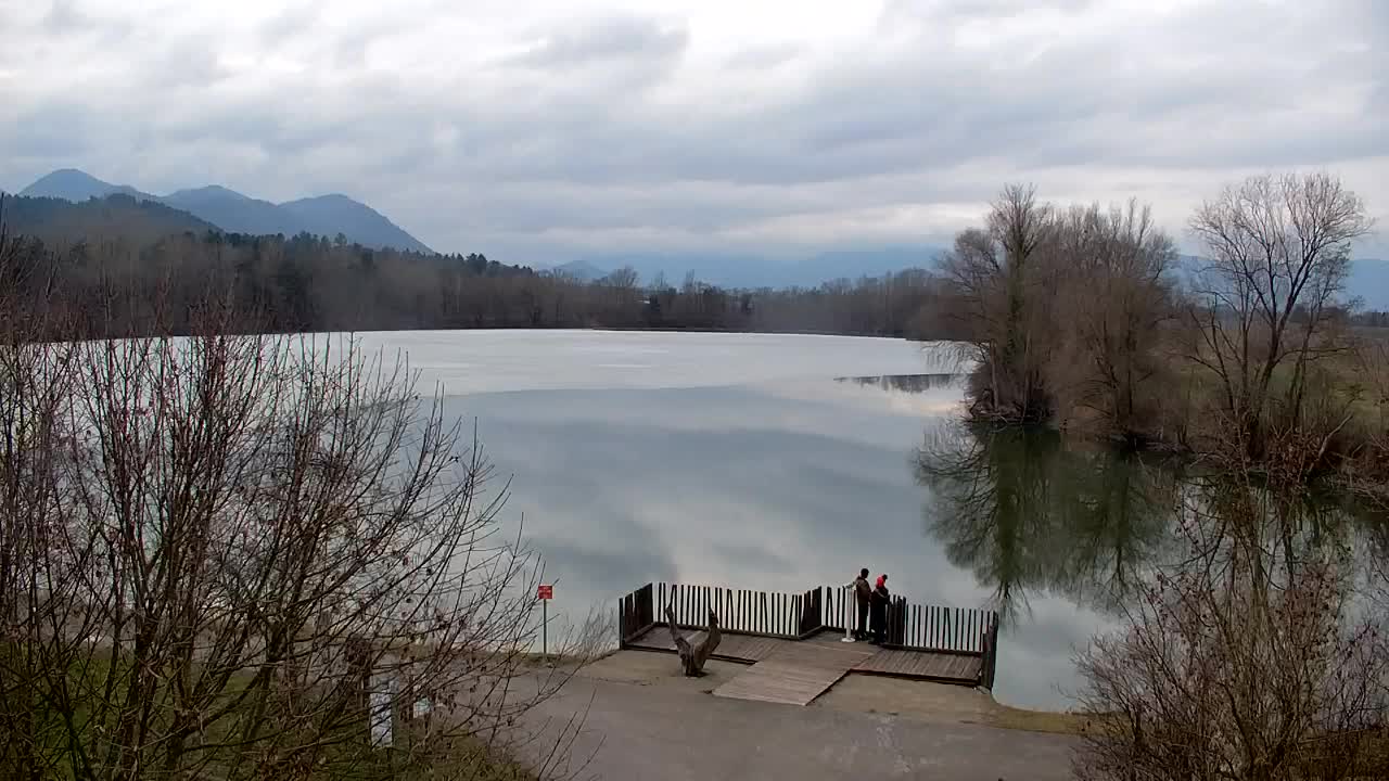 Webcam Ribnik Vrbje – Žalec