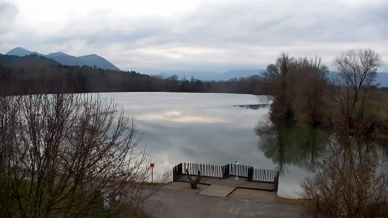 Webcam Ribnik Vrbje – Žalec