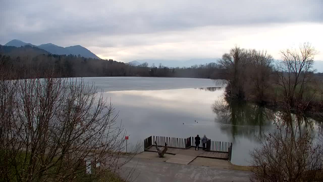 Spletna kamera Ribnik Vrbje – Žalec