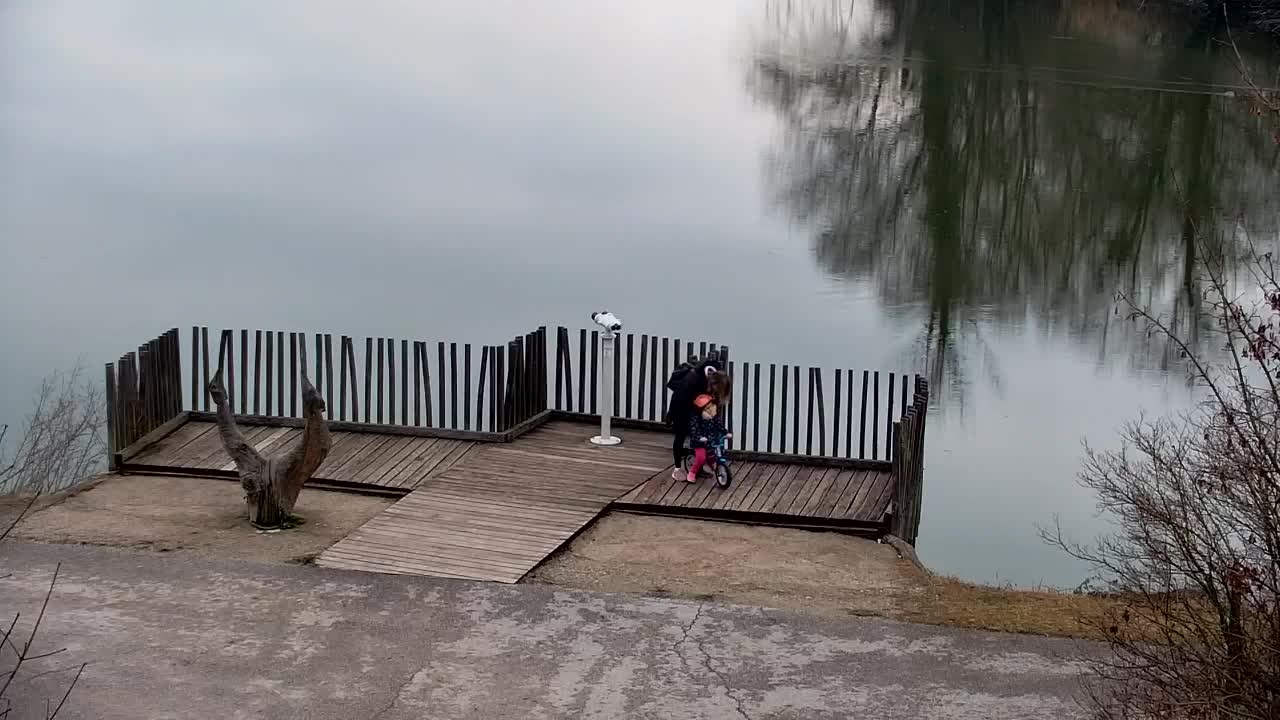 Webcam Ribnik Vrbje – Žalec