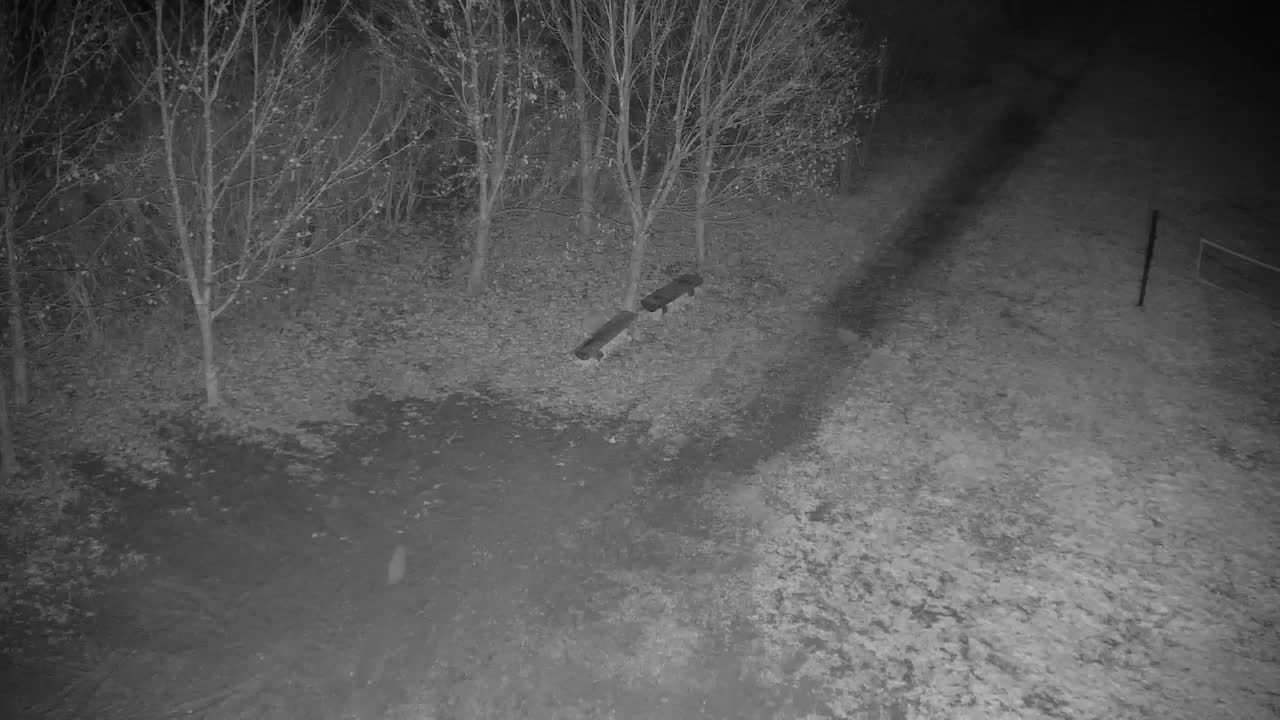 Webcam Ribnik Vrbje – Žalec