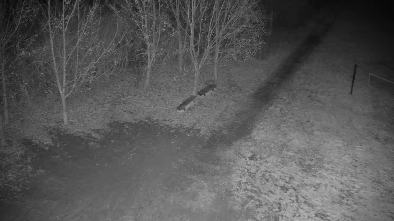 Webcam Ribnik Vrbje – Žalec