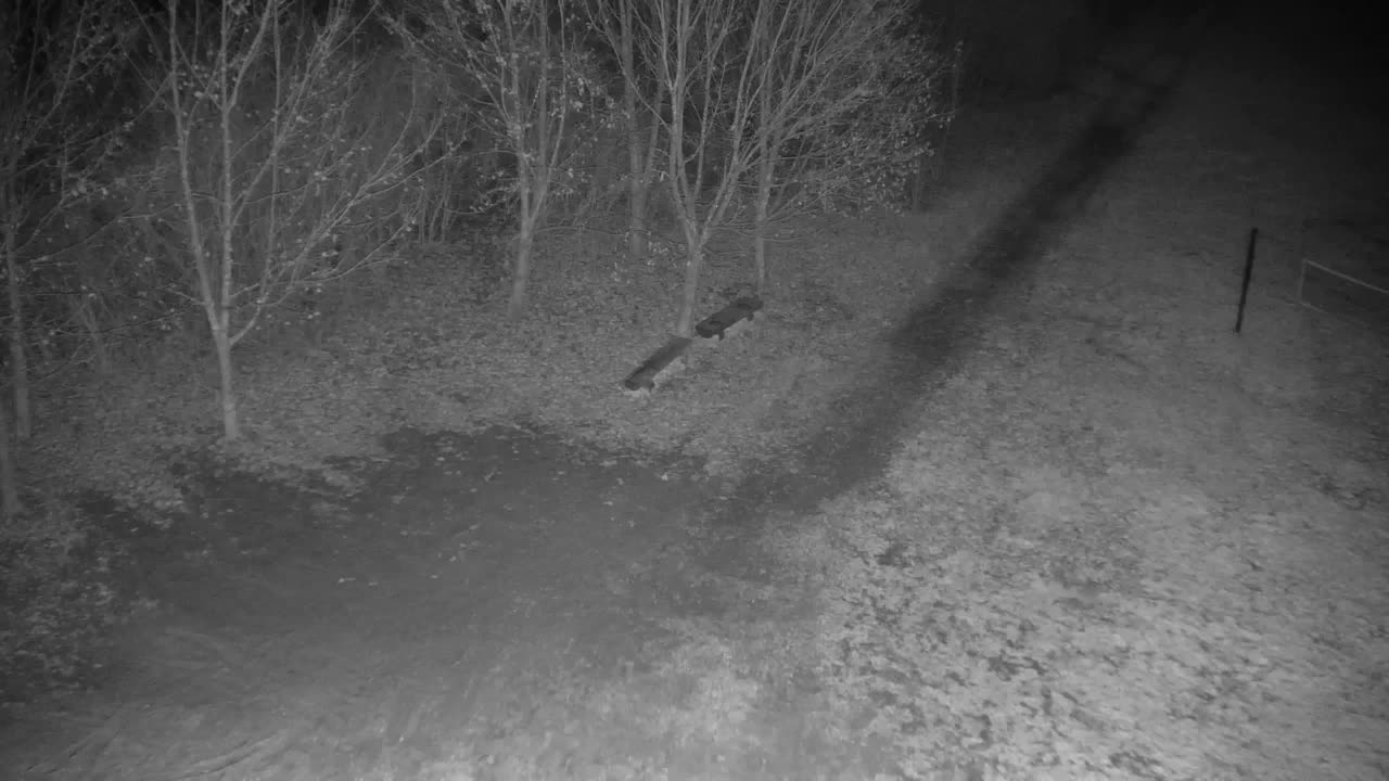 Webcam Ribnik Vrbje – Žalec