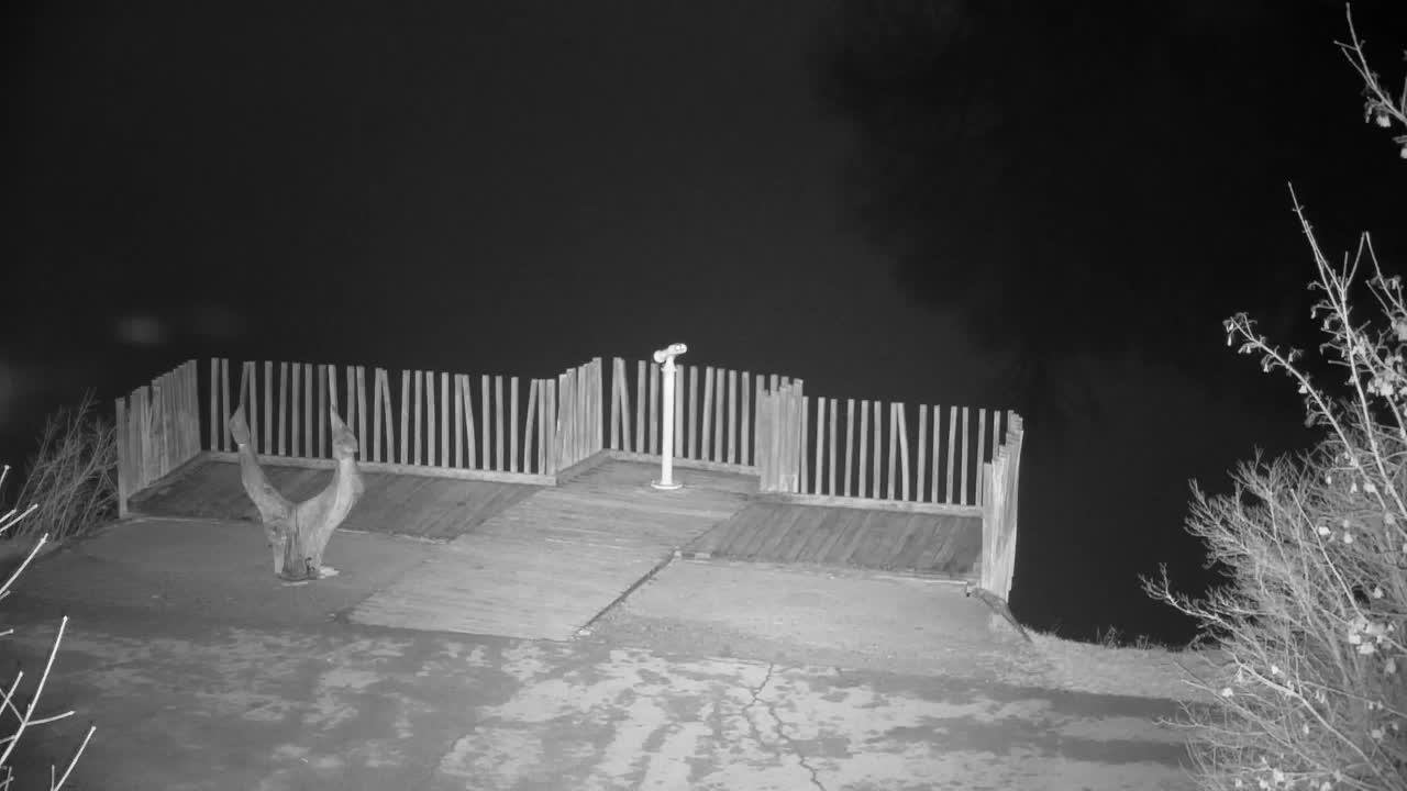 Webcam Ribnik Vrbje – Žalec