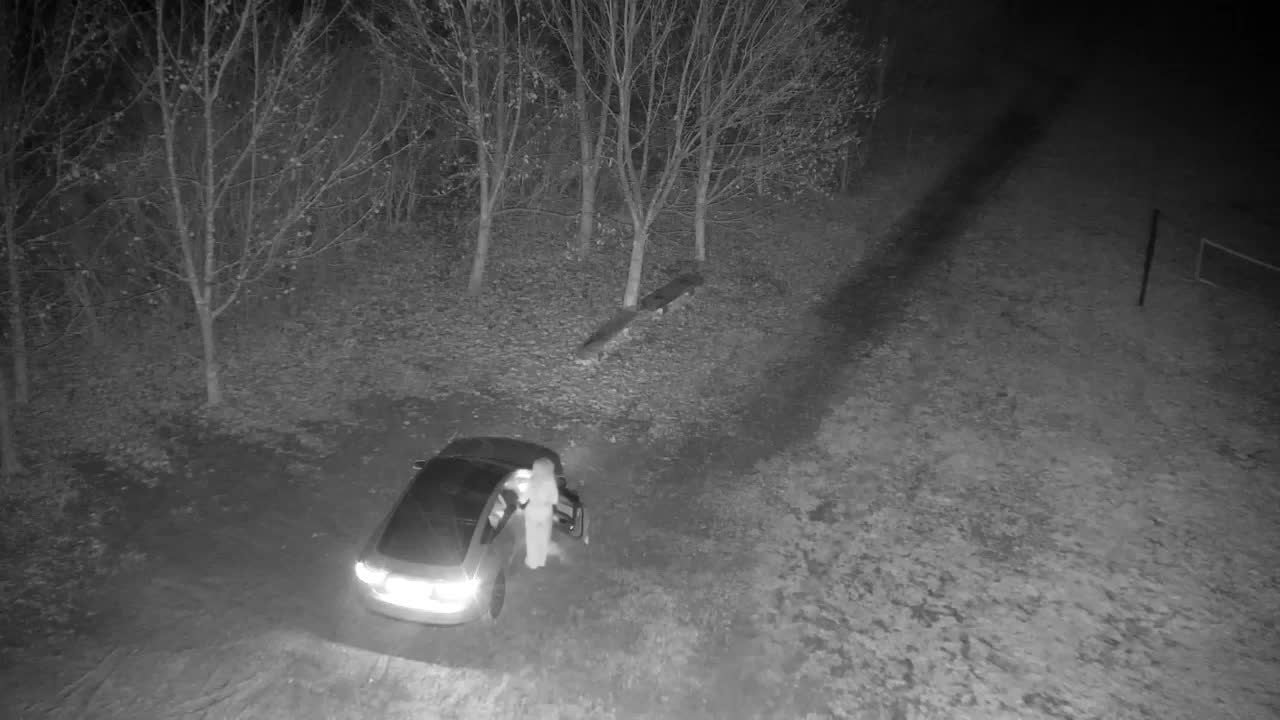 Webcam Ribnik Vrbje – Žalec