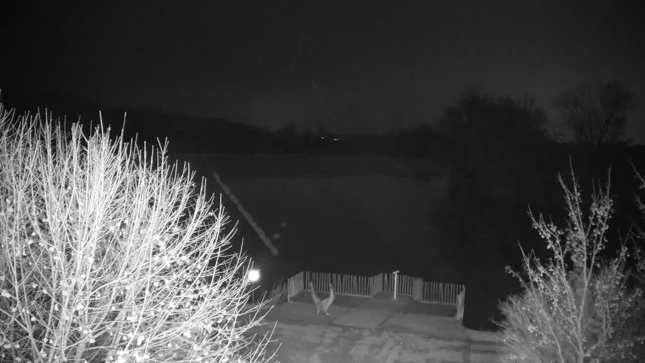 Webcam Ribnik Vrbje – Žalec