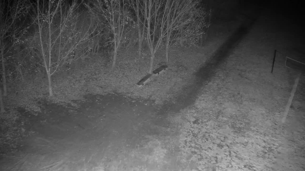 Webcam Ribnik Vrbje – Žalec