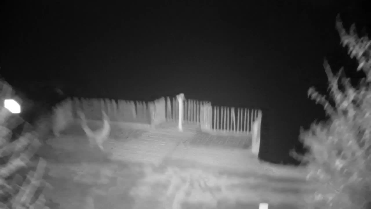 Webcam Ribnik Vrbje – Žalec