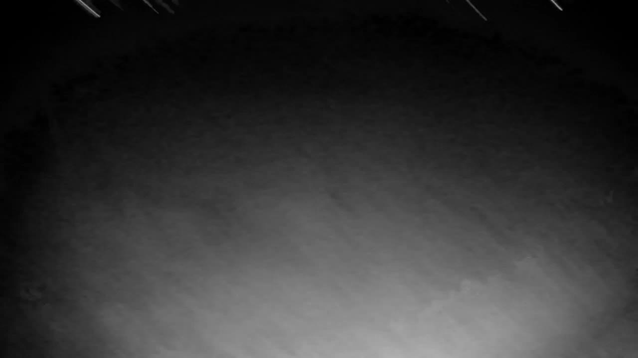 Spletna kamera Ribnik Vrbje – Žalec