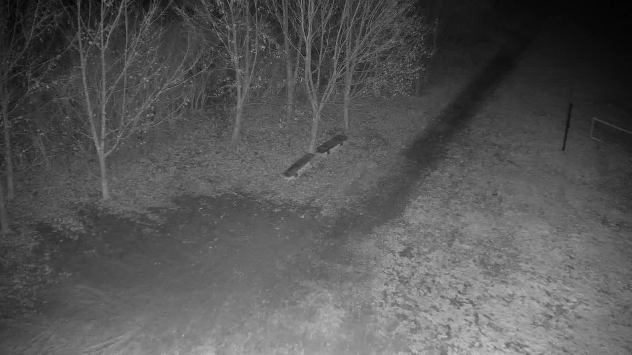 Spletna kamera Ribnik Vrbje – Žalec