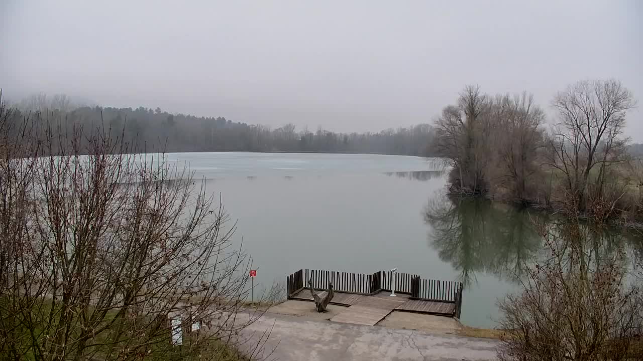 Webcam Ribnik Vrbje – Žalec