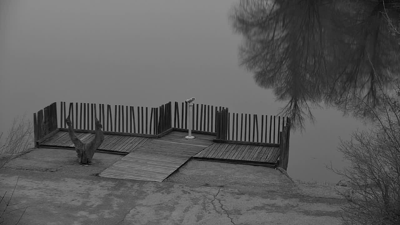 Webcam Ribnik Vrbje – Žalec