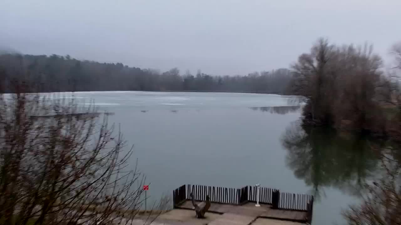 Spletna kamera Ribnik Vrbje – Žalec