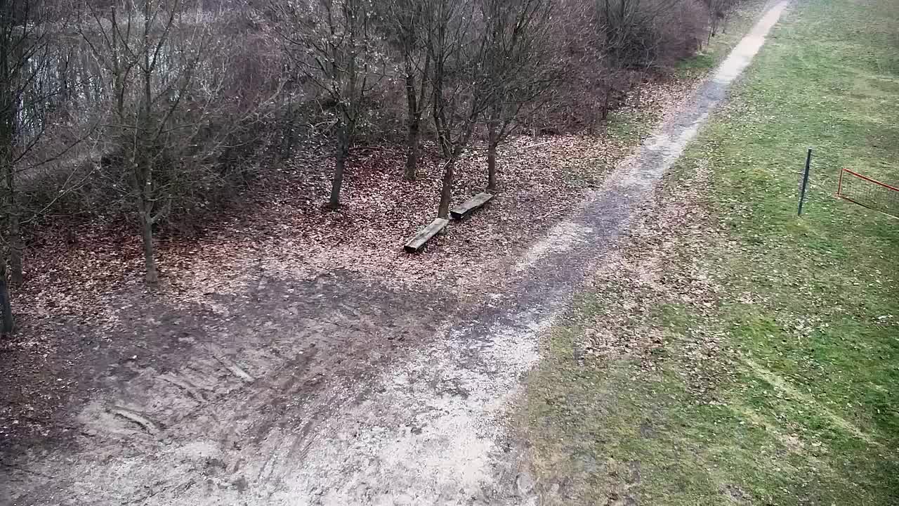 Webcam Ribnik Vrbje – Žalec