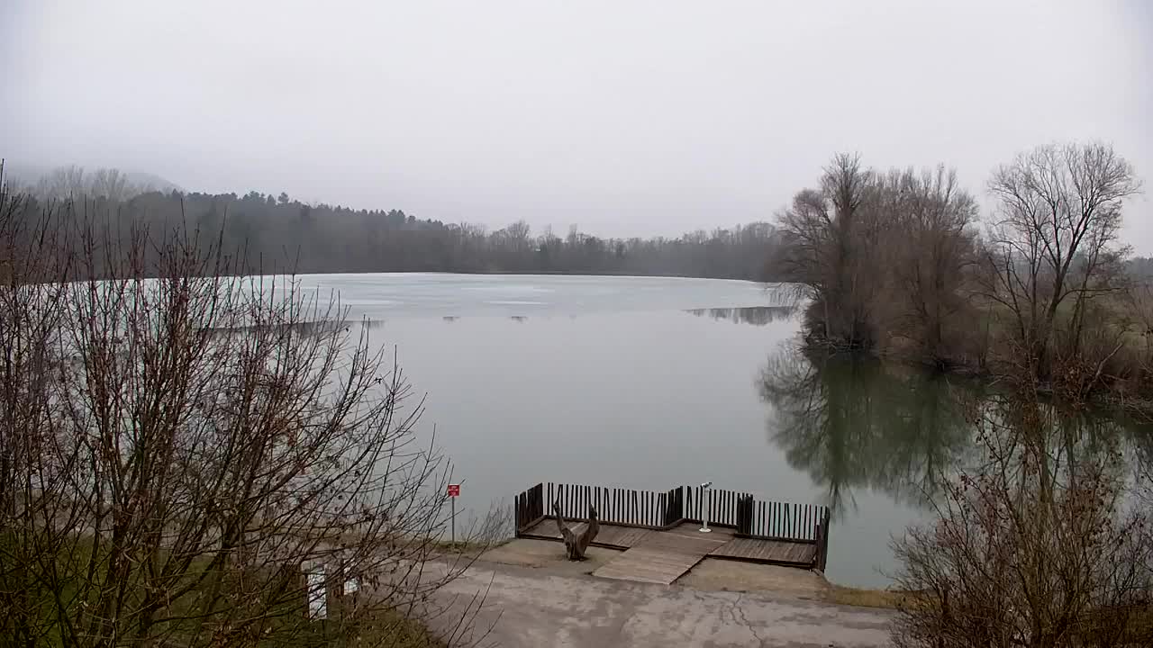 Spletna kamera Ribnik Vrbje – Žalec