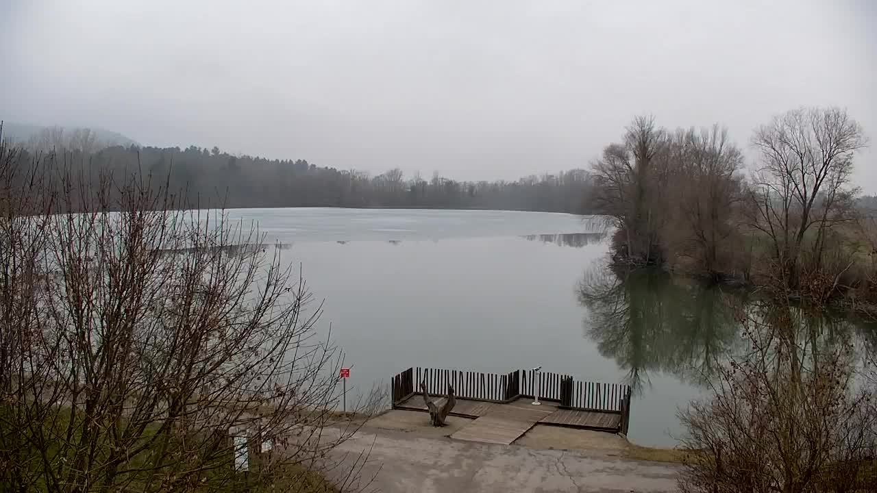 Web kamera Ribnik Vrbje – Žalec