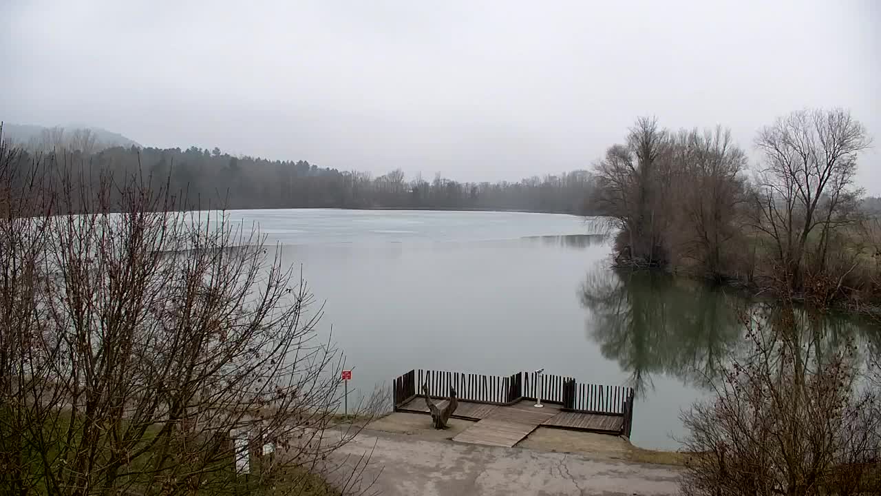 Spletna kamera Ribnik Vrbje – Žalec