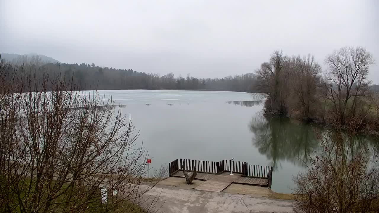 Webcam Ribnik Vrbje – Žalec