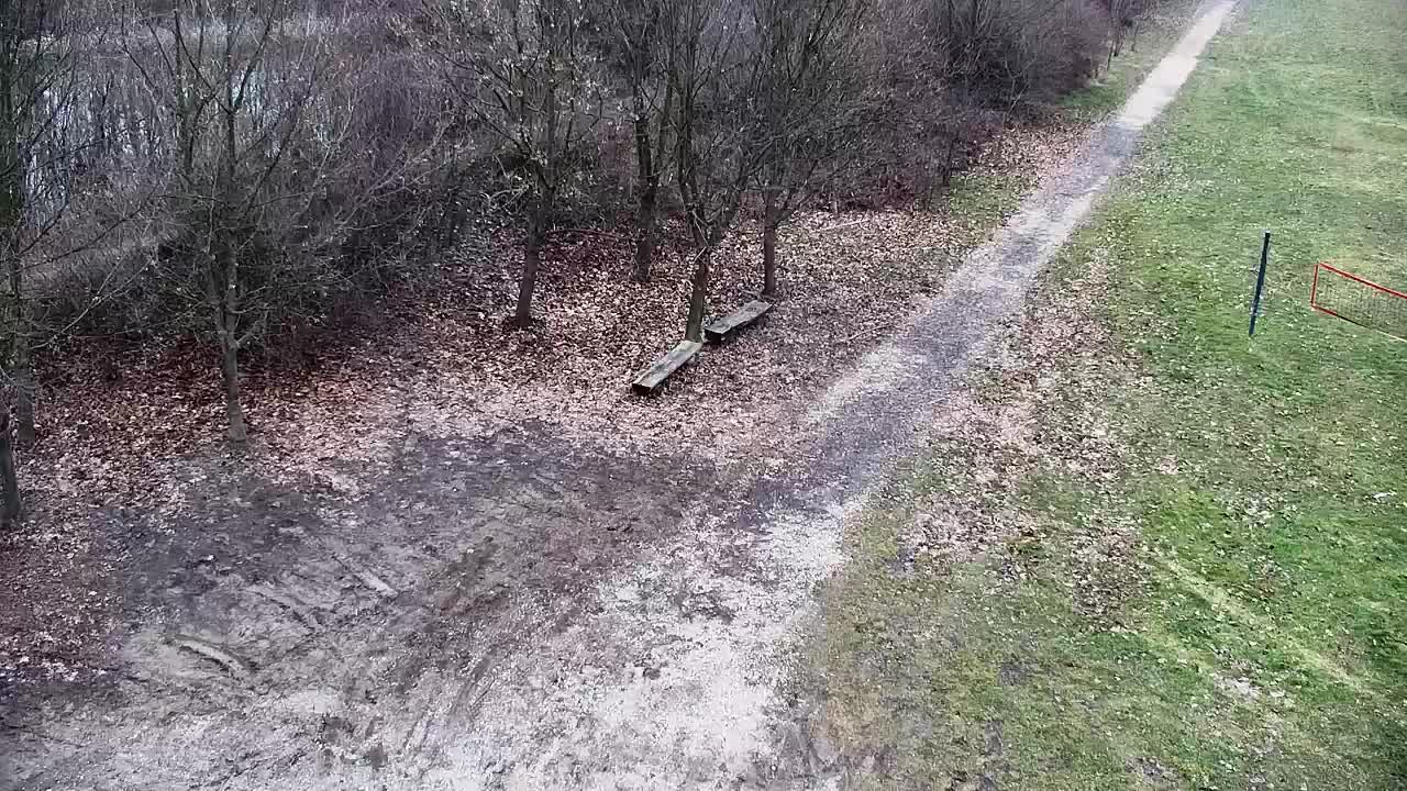 Webcam Ribnik Vrbje – Žalec