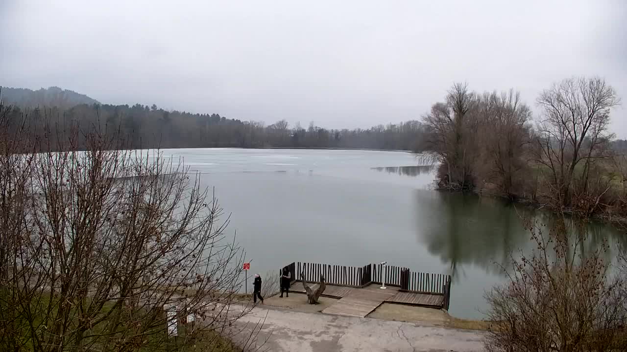 Spletna kamera Ribnik Vrbje – Žalec