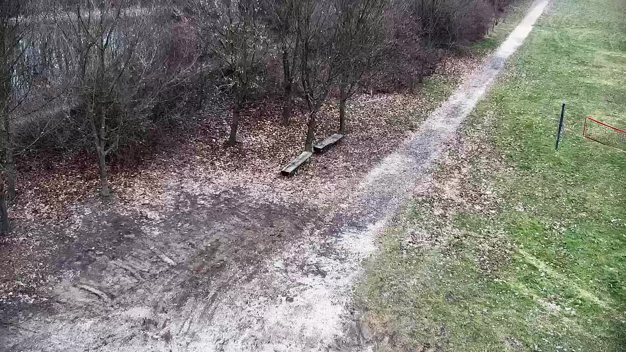 Webcam Ribnik Vrbje – Žalec