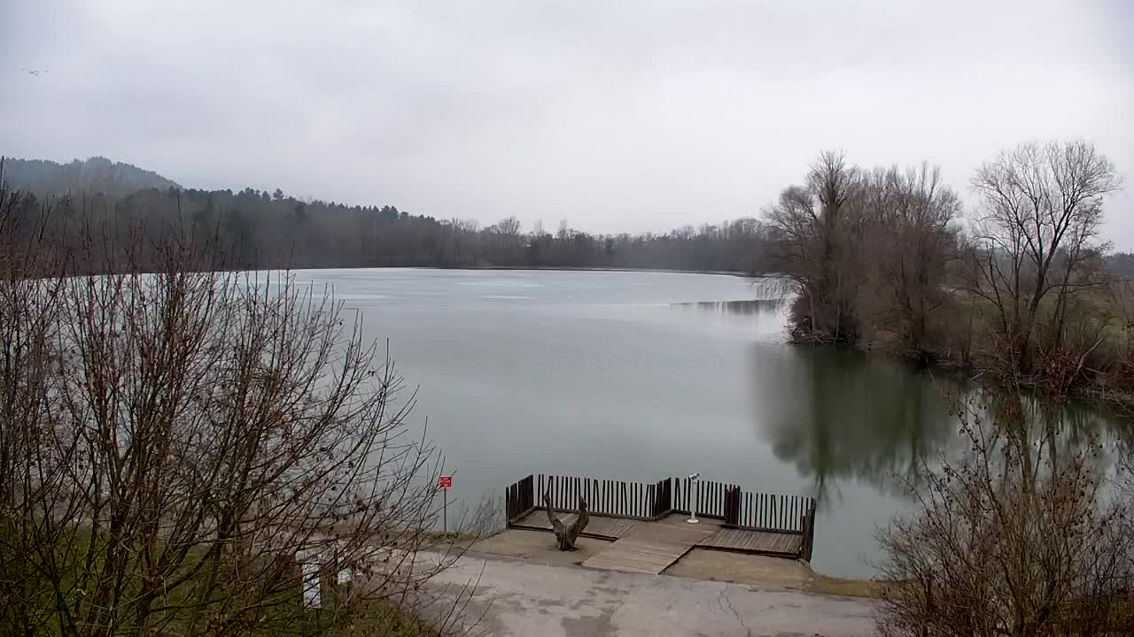 Webcam Ribnik Vrbje – Žalec