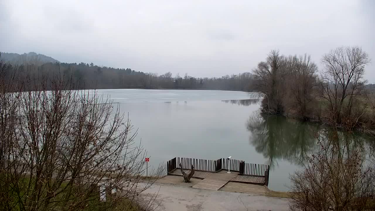 Webcam Ribnik Vrbje – Žalec