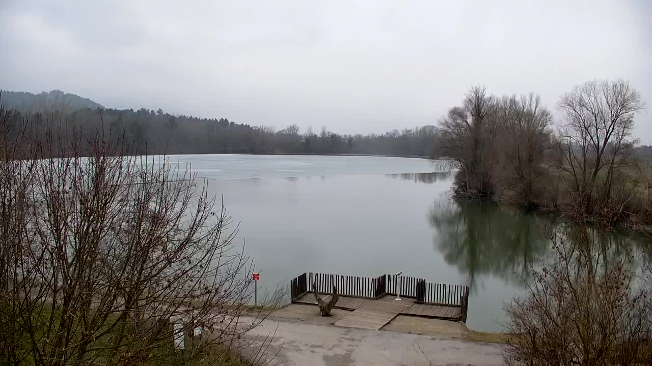 Web kamera Ribnik Vrbje – Žalec