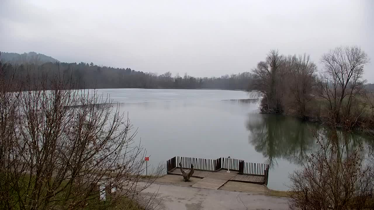 Webcam Ribnik Vrbje – Žalec