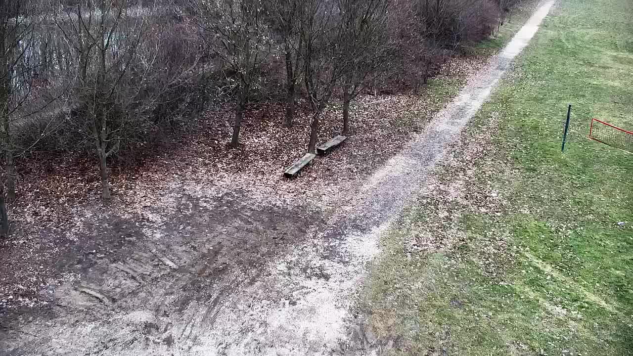 Webcam Ribnik Vrbje – Žalec