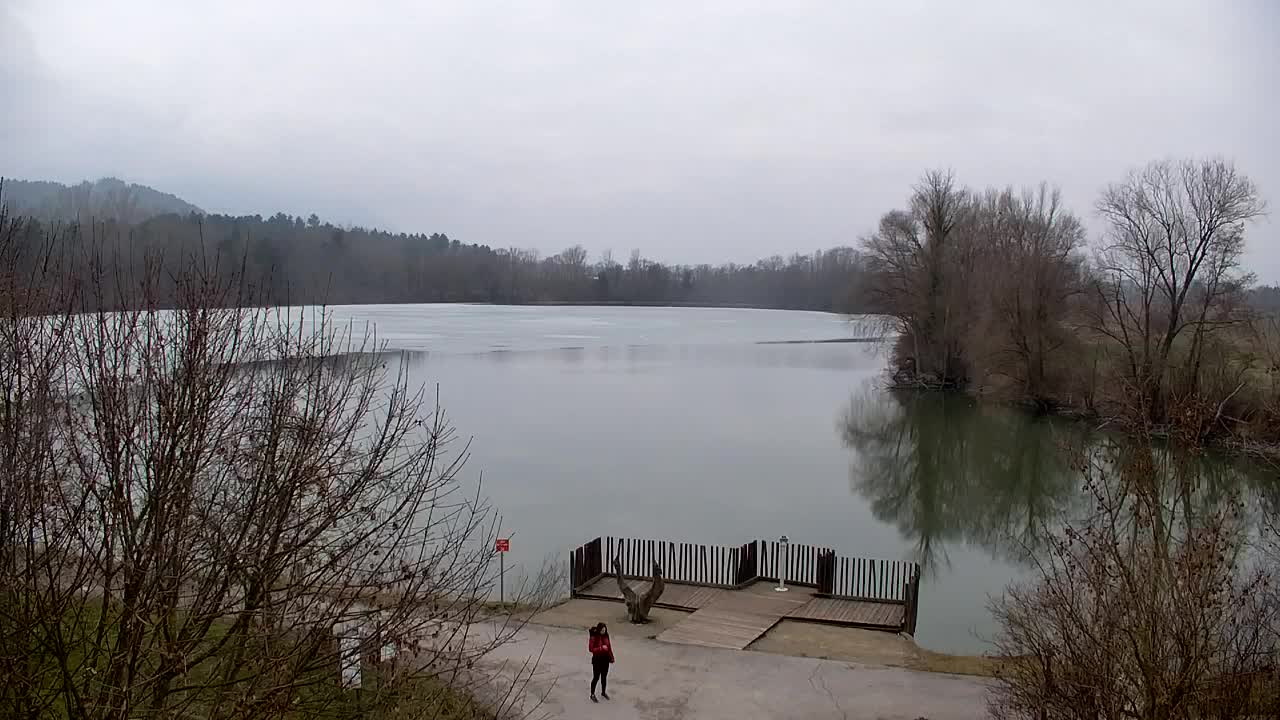 Webcam Ribnik Vrbje – Žalec