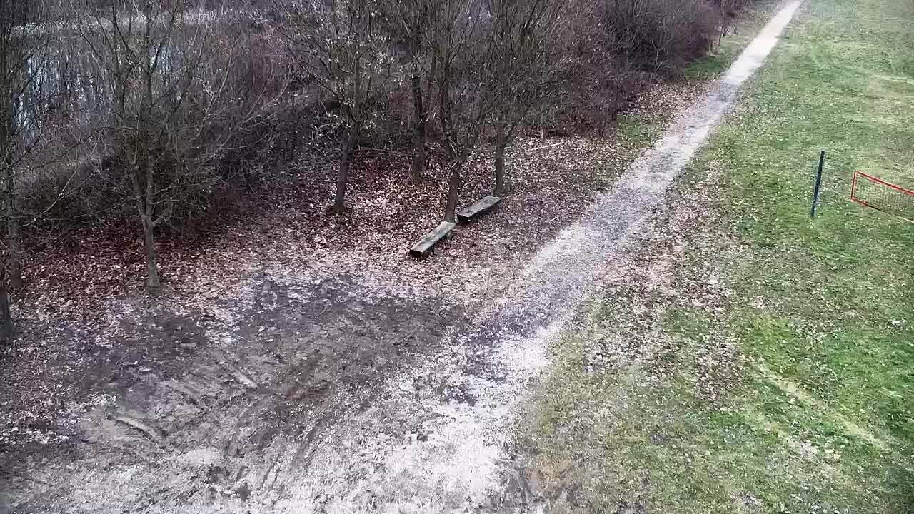 Web kamera Ribnik Vrbje – Žalec