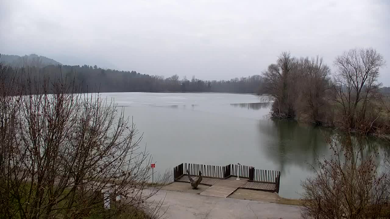 Webcam Ribnik Vrbje – Žalec