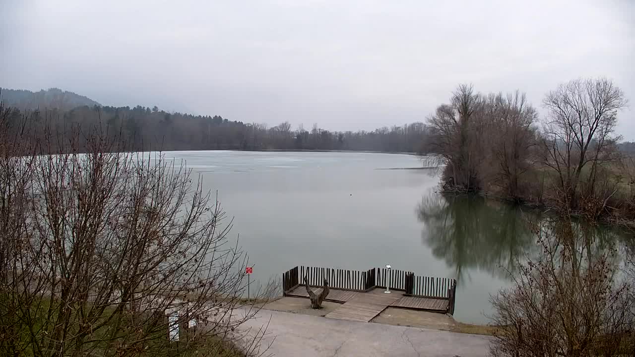 Webcam Ribnik Vrbje – Žalec