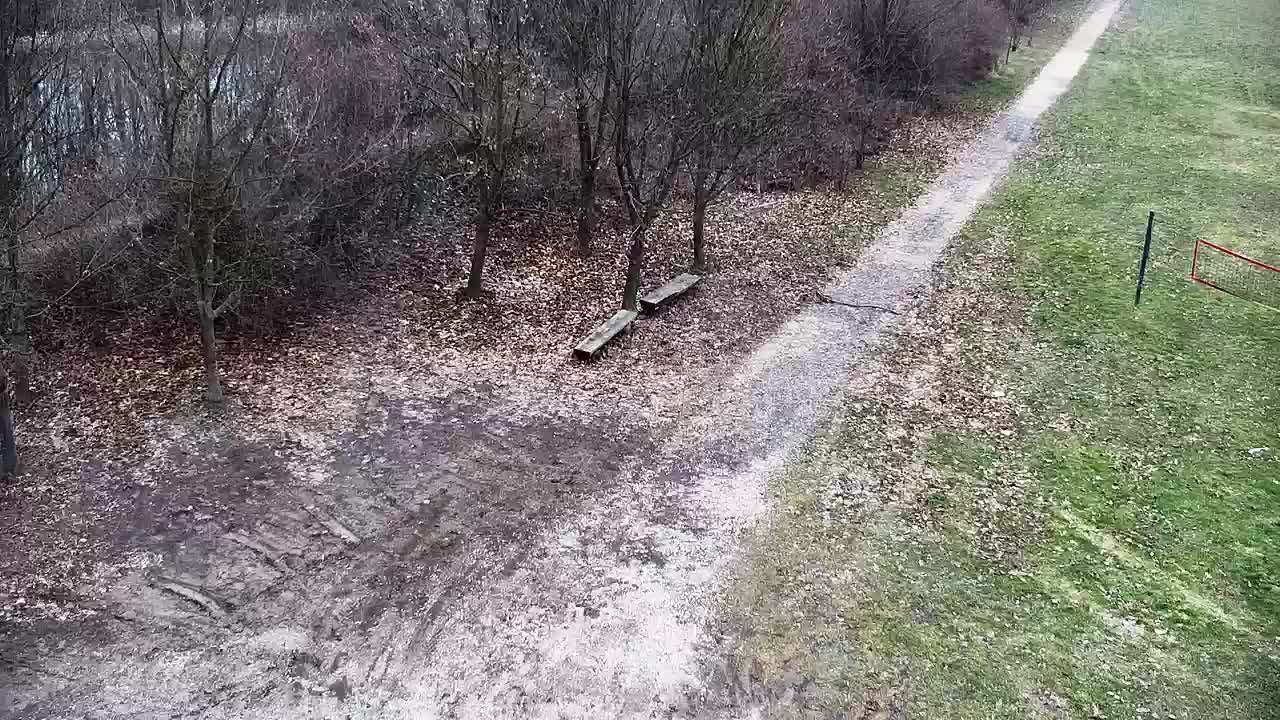 Webcam Ribnik Vrbje – Žalec