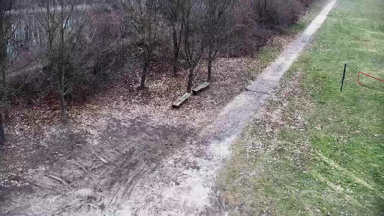 Webcam Ribnik Vrbje – Žalec