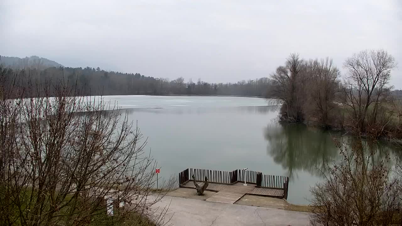 Webcam Ribnik Vrbje – Žalec